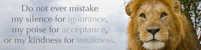 Don't Poke The Lion Header Image
